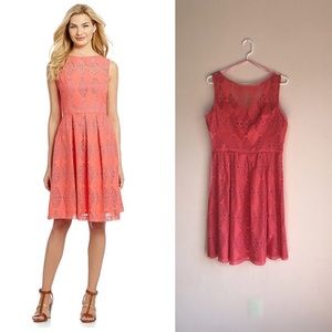 Maggy London embroidered mesh fit & flare dress 10